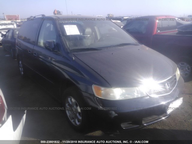 5FNRL18053B104661 - 2003 HONDA ODYSSEY EXL BLUE photo 1