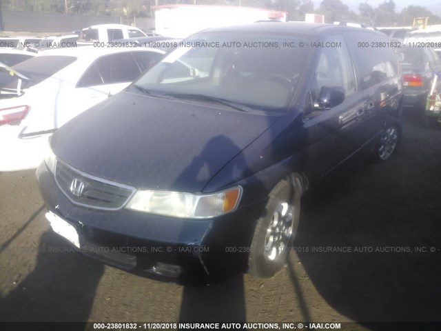 5FNRL18053B104661 - 2003 HONDA ODYSSEY EXL BLUE photo 2