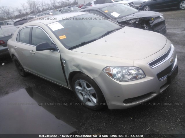 1G1ZB5EB7AF307780 - 2010 CHEVROLET MALIBU LS 金色 照片 1