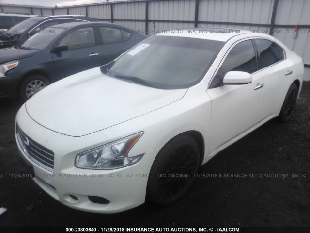 1N4AA5AP7AC859263 - 2010 NISSAN MAXIMA S/SV WHITE photo 2