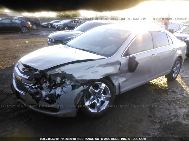 1G1ZA5EU6BF347113 - 2011 CHEVROLET MALIBU LS TAN photo 2