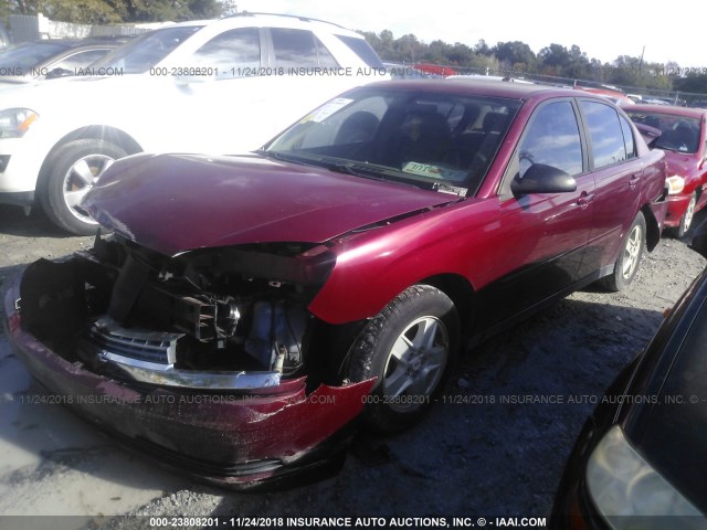 1G1ZT54825F210494 - 2005 CHEVROLET MALIBU LS 红色 照片 2