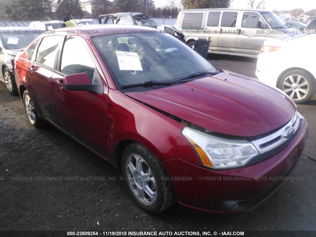 1FAHP36N19W242153 - 2009 FORD FOCUS SES RED photo 1