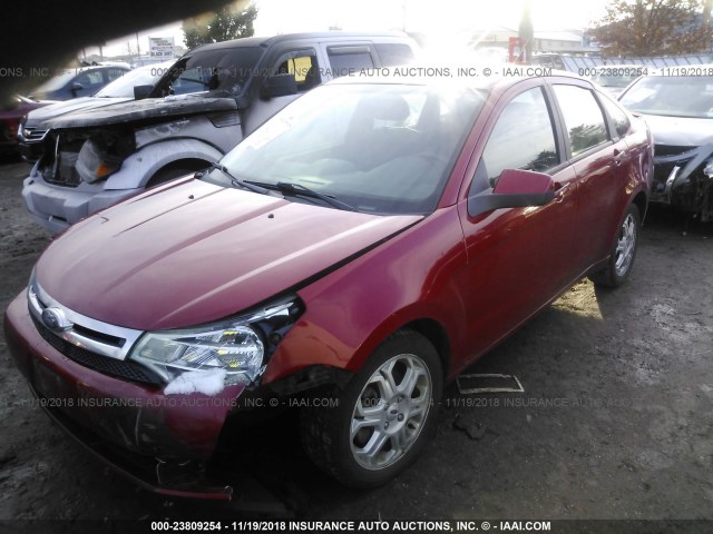 1FAHP36N19W242153 - 2009 FORD FOCUS SES RED photo 2