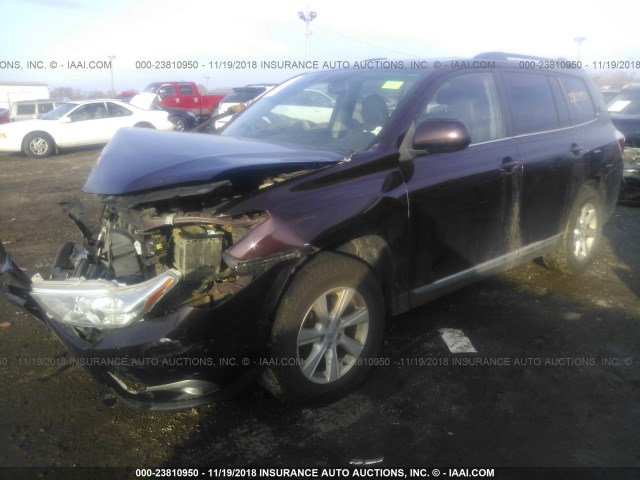 5TDBK3EH4CS142579 - 2012 TOYOTA HIGHLANDER SE PURPLE photo 2