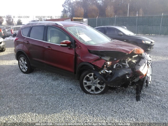 1FMCU0JX9EUC83538 - 2014 FORD ESCAPE TITANIUM RED photo 1