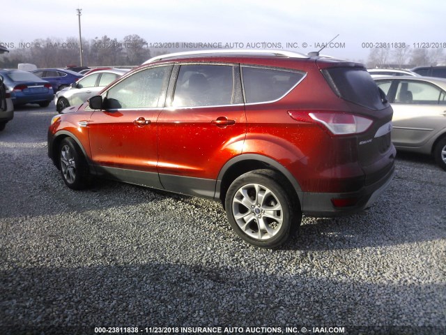 1FMCU0JX9EUC83538 - 2014 FORD ESCAPE TITANIUM RED photo 3