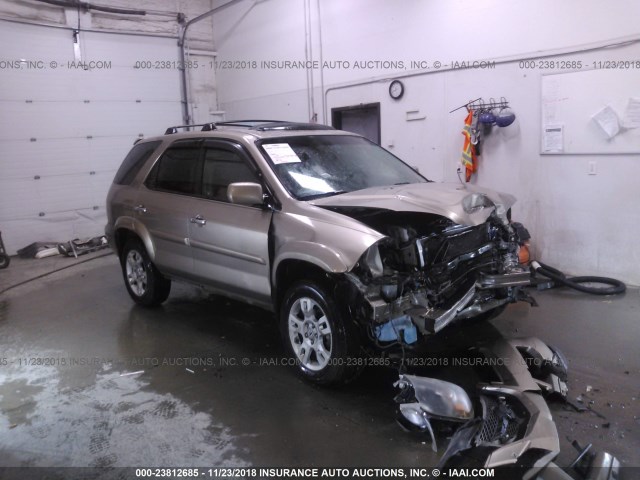 2HNYD18766H527912 - 2006 ACURA MDX TOURING GOLD photo 1