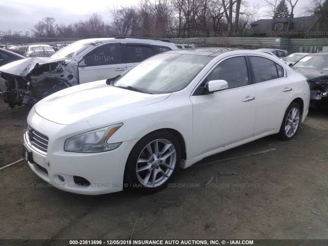 1N4AA51E09C842976 - 2009 NISSAN MAXIMA S/SV WHITE photo 2