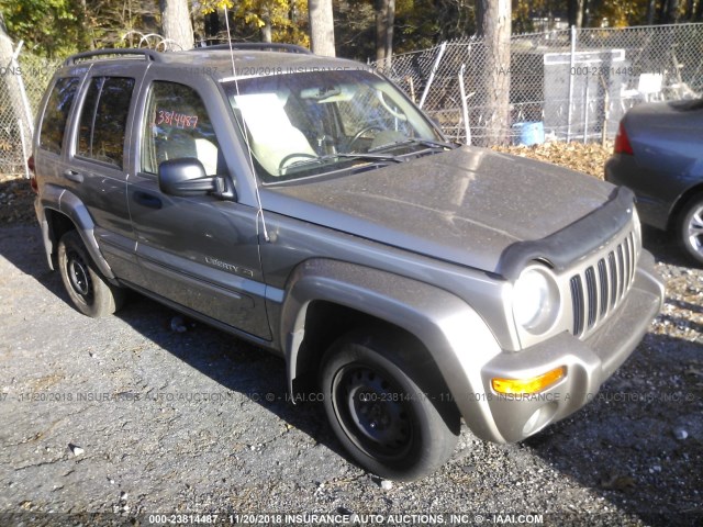 1J4GL58K23W656463 - 2003 JEEP LIBERTY LIMITED GOLD photo 1