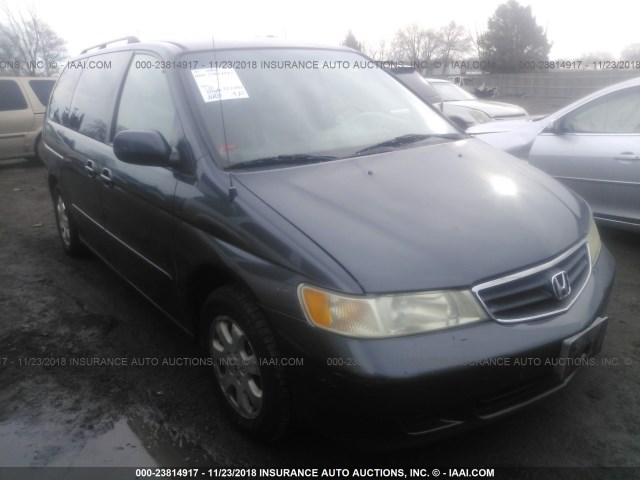 5FNRL18984B007986 - 2004 HONDA ODYSSEY EXL GRAY photo 1