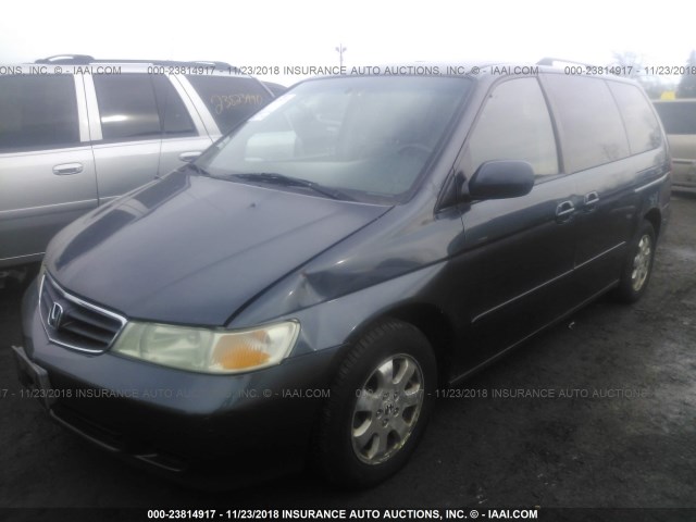 5FNRL18984B007986 - 2004 HONDA ODYSSEY EXL GRAY photo 2