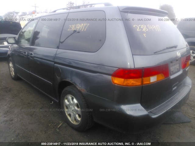 5FNRL18984B007986 - 2004 HONDA ODYSSEY EXL GRAY photo 3