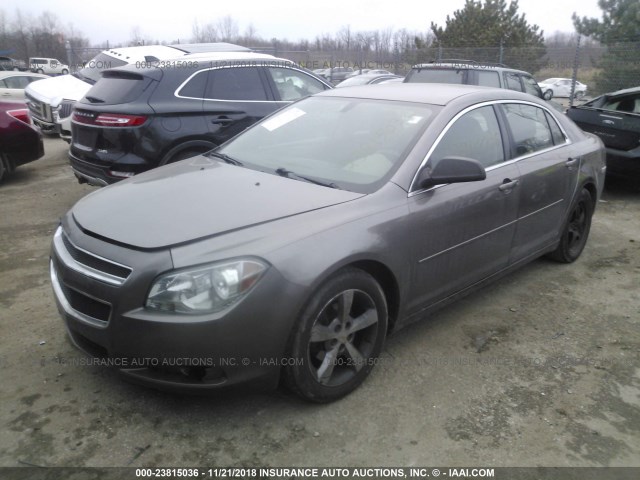 1G1ZA5EU1BF169904 - 2011 CHEVROLET MALIBU LS 棕色 照片 2