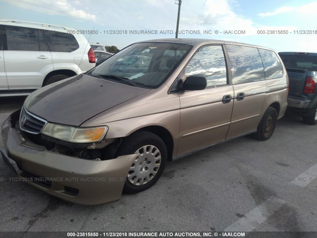 5FNRL185X3B013056 - 2003 HONDA ODYSSEY LX GOLD photo 2