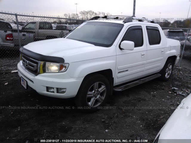 5FPYK1F52BB004262 - 2011 HONDA RIDGELINE RTL WHITE photo 2