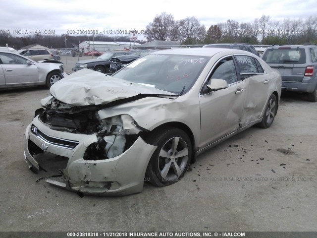 1G1ZC5EU4BF101476 - 2011 CHEVROLET MALIBU 1LT TAN photo 2