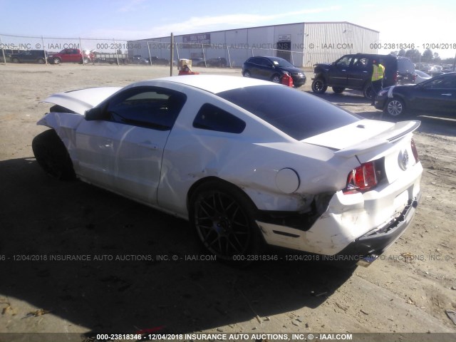 1ZVBP8JSXB5146489 - 2011 FORD MUSTANG SHELBY GT500 WHITE photo 3