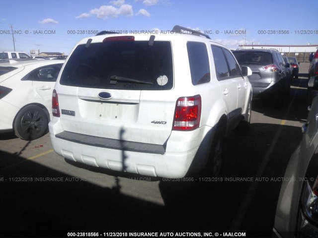 1FMCU94188KA62492 - 2008 FORD ESCAPE LIMITED WHITE photo 4