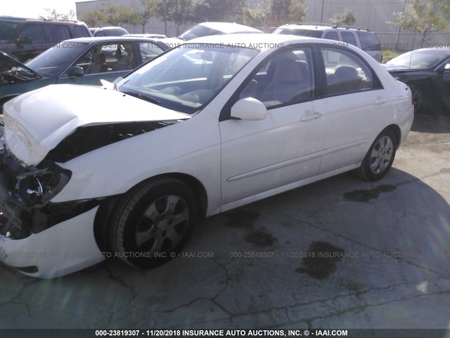 KNAFE121285504326 - 2008 KIA SPECTRA EX/LX/SX WHITE photo 2