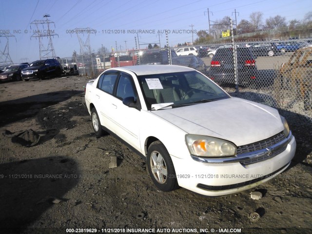 1G1ZT52855F277609 - 2005 CHEVROLET MALIBU LS WHITE photo 1