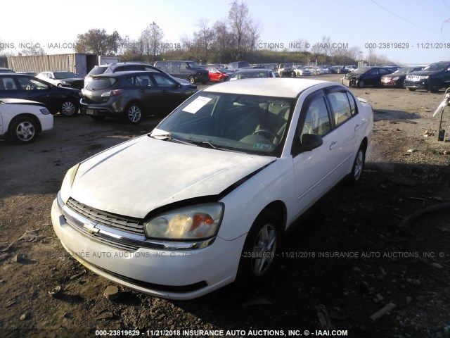 1G1ZT52855F277609 - 2005 CHEVROLET MALIBU LS WHITE photo 2