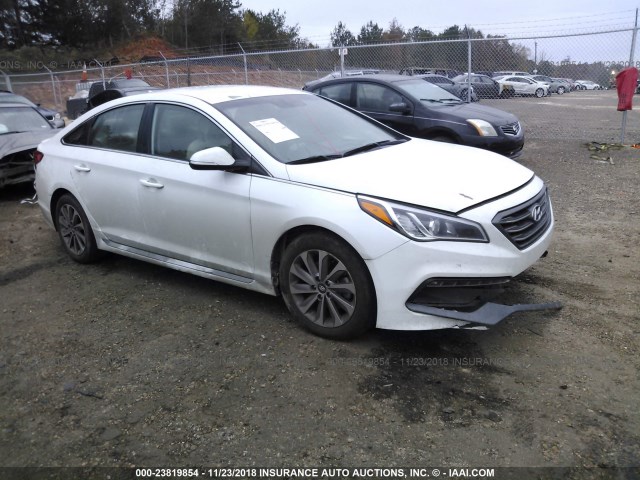 5NPE34AF6GH383236 - 2016 HYUNDAI SONATA SPORT/LIMITED WHITE photo 1