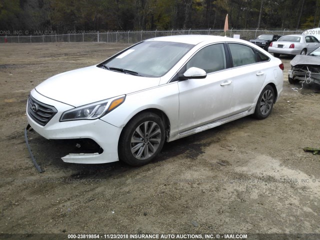 5NPE34AF6GH383236 - 2016 HYUNDAI SONATA SPORT/LIMITED WHITE photo 2