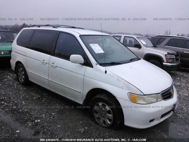 5FNRL18033B008205 - 2003 HONDA ODYSSEY EXL WHITE photo 1