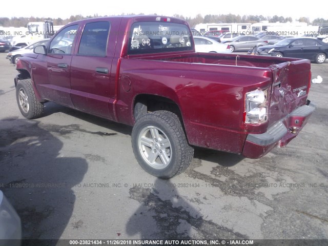 1D7RE3GK9BS636303 - 2011 DODGE DAKOTA SLT RED photo 3