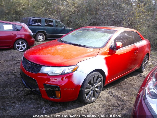 KNAFW6A31C5513248 - 2012 KIA FORTE SX RED photo 2