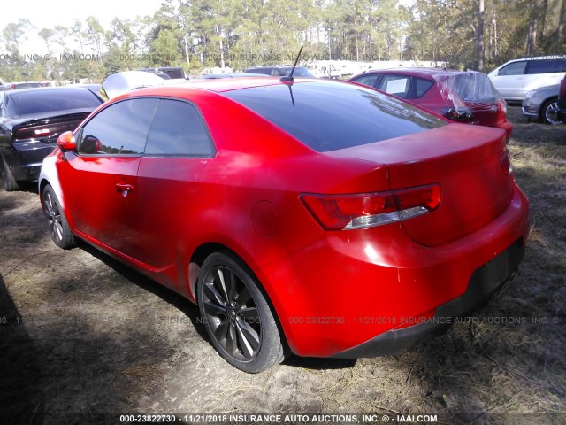 KNAFW6A31C5513248 - 2012 KIA FORTE SX RED photo 3