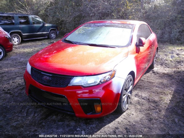 KNAFW6A31C5513248 - 2012 KIA FORTE SX RED photo 6