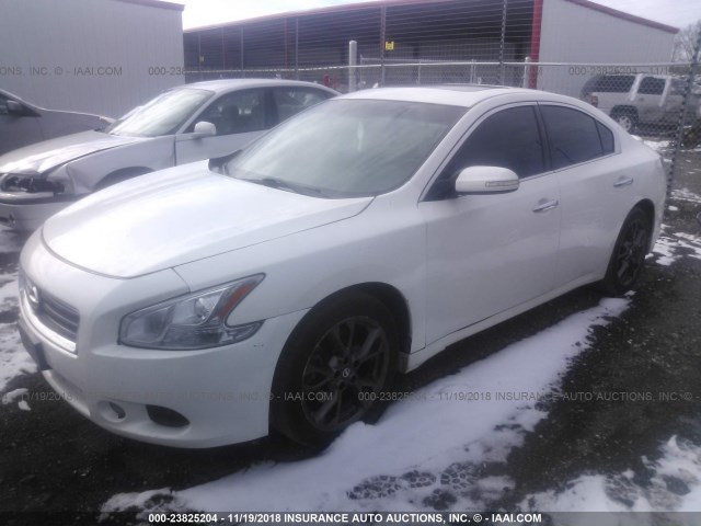 1N4AA5AP2CC850893 - 2012 NISSAN MAXIMA S/SV WHITE photo 2