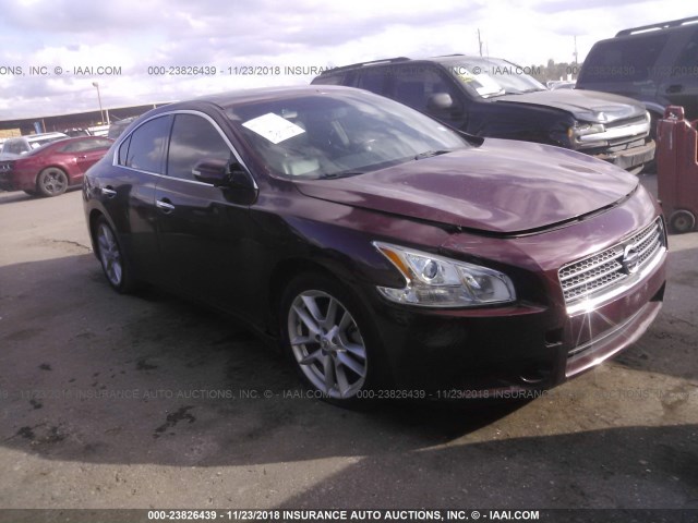 1N4AA5AP2AC870901 - 2010 NISSAN MAXIMA S/SV MAROON photo 1