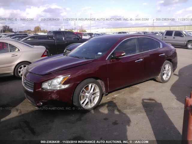 1N4AA5AP2AC870901 - 2010 NISSAN MAXIMA S/SV MAROON photo 2