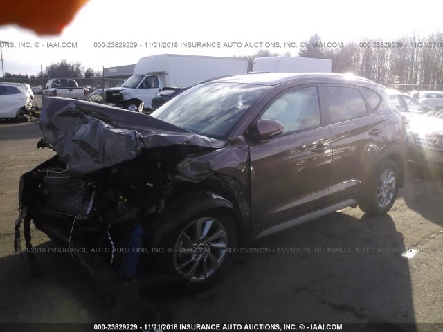 KM8J3CA44HU438387 - 2017 HYUNDAI TUCSON LIMITED/SPORT AND ECO/SE BROWN photo 2