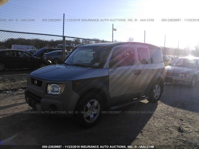 5J6YH28524L009594 - 2004 HONDA ELEMENT EX GRAY photo 2