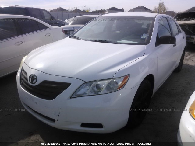 4T1BE46K69U880231 - 2009 TOYOTA CAMRY SE/LE/XLE WHITE photo 2