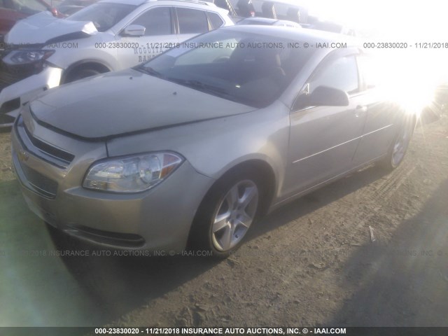 1G1ZB5EB6AF228472 - 2010 CHEVROLET MALIBU LS 金色 照片 2
