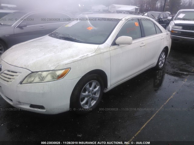 4T1BE46K07U654456 - 2007 TOYOTA CAMRY NEW GENERAT CE/LE/XLE/SE WHITE photo 2