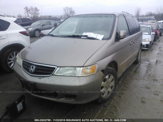 5FNRL18993B141209 - 2003 HONDA ODYSSEY EXL GOLD photo 2