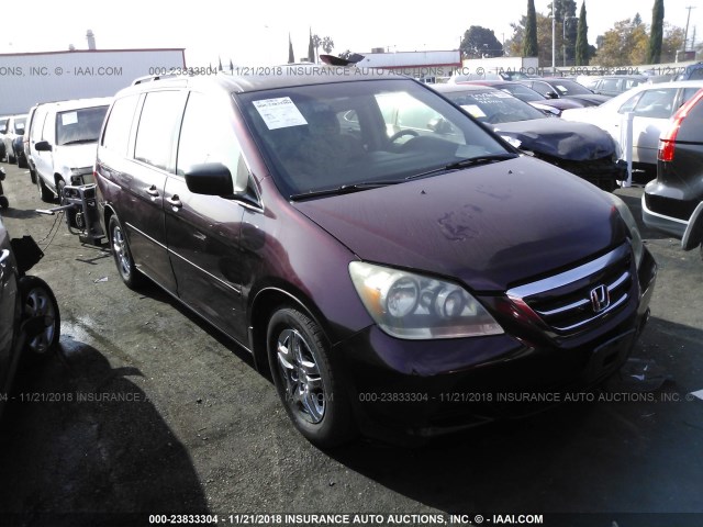 5FNRL38637B458264 - 2007 HONDA ODYSSEY EXL PURPLE photo 1