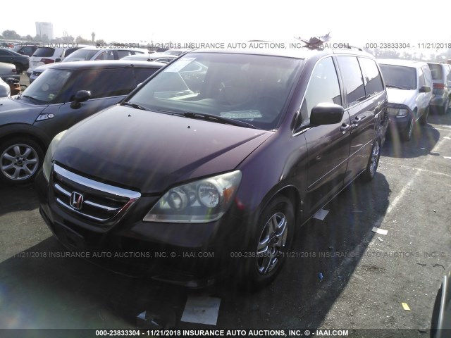 5FNRL38637B458264 - 2007 HONDA ODYSSEY EXL PURPLE photo 2