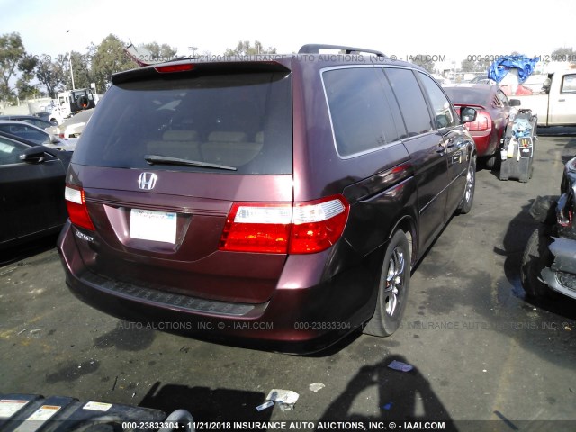 5FNRL38637B458264 - 2007 HONDA ODYSSEY EXL PURPLE photo 4