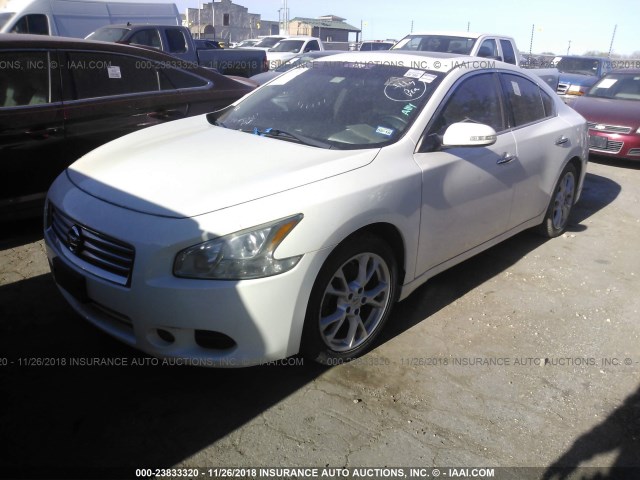 1N4AA5APXCC830732 - 2012 NISSAN MAXIMA S/SV WHITE photo 2