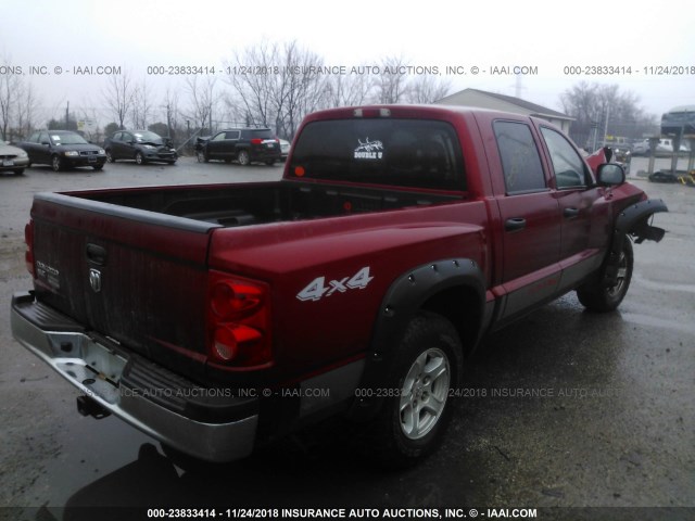 1D7HW48K76S536011 - 2006 DODGE DAKOTA QUAD SLT RED photo 4