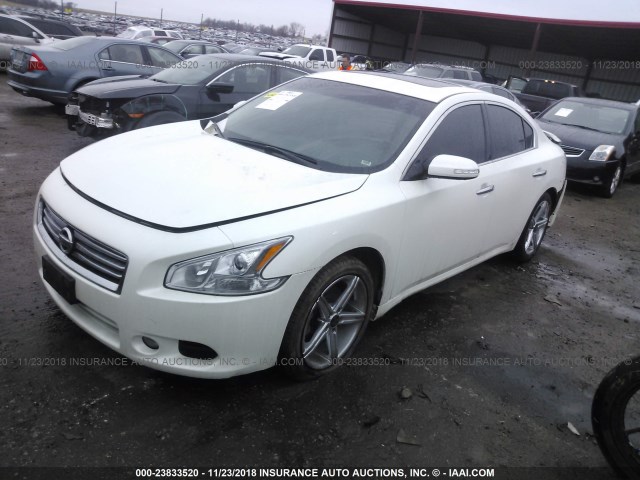 1N4AA5AP9EC912065 - 2014 NISSAN MAXIMA S/SV WHITE photo 2