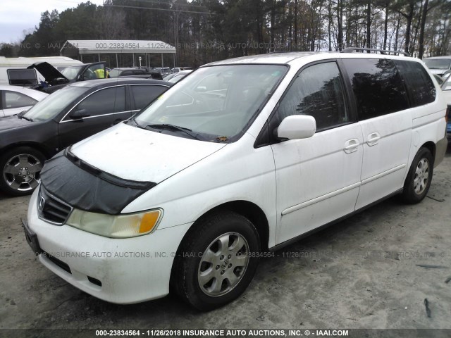 5FNRL189X3B155393 - 2003 HONDA ODYSSEY EXL WHITE photo 2