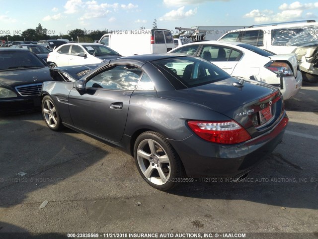 WDDPK4HA6FF113976 - 2015 MERCEDES-BENZ SLK 250 GRAY photo 3